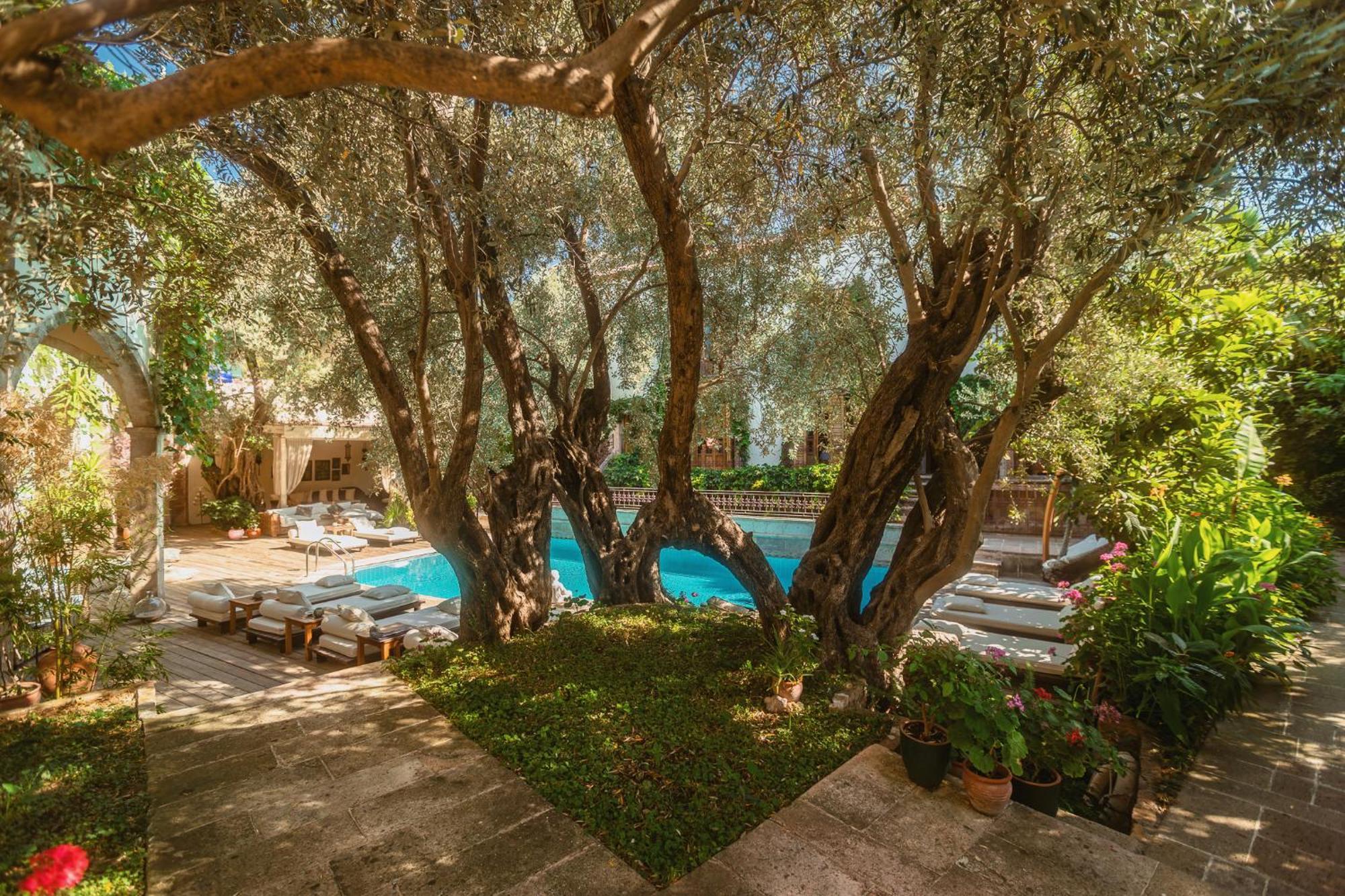 Jade (adults Only) 2* Oludeniz